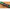 Varga Benzar No Limit Extra Strong, 6m, 6seg