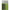 Varnis Korum Classic River Float Silicone Tubing, Black, 8buc/pac