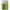 Varnis Korum Glide Stick Float Silicone, 6cm, 5buc/pac