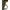 Varnis Siliconic Fox Edges Naturals Hook Silicone, 1.5m