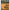 Vartej Rapid Strategy cu Anou Pole Position Spinna Swivel 8buc/plic Nr.11