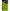 Vartej cu Margea Culisanta si Agrafa Matrix X-Strong Feeder Bead Snap Links Nr.12 10buc/plic