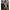 Vesta Fox Olive Quilted 100 Gilet, Kaki, Marimea L