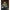 Vesta Fox Olive Quilted 100 Gilet, Kaki, Marimea L