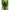 Vesta Zebco Lightweight 9 Pocket Fishing Vest