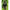 Vesta Zebco Lightweight 9 Pocket Fishing Vest