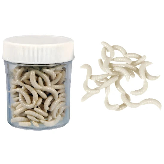Viermi Artificiali Cu Miros Konger Maggot Soft Bait Scented, Alb