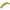 Viermi Berkley Sparkle Honey Yellow, 2.5cm