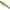 Vobler Apia Uprizing 70hw, 06 Lgh Chart Back, 7cm, 18g