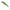 Vobler Berkley Dex Fat Bullet, 13cm, 27g, Mahi Mahi, 1buc/pac
