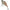 Vobler Berkley Dex Ripper, Smelt, 7cm, 17.1g, 1buc/pac