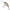 Vobler Berkley Dex Trencher Floating, Wagasaki, 5.5cm, 13g, 1buc/pac