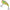Vobler Berkley Flatt Shad, Green Killer, 22g, 7.7cm, 1buc/pac