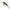 Vobler Berkley Pulse Minnow, Perch, 6cm, 7.7g, 1buc/pac