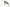 Vobler Berkley DEX Trencher Floating, Ayu, 4cm, 5g