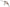Vobler Berkley DEX Trencher Floating, Smelt, 4cm, 5g