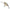 Vobler Berkley Dex Trencher Floating, Wagasaki, 4cm, 5g