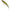 Vobler Berkley Dex Bullet Jerk, AYU, 7.5g, 8cm, 1buc/pac