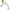 Vobler Berkley Flatt Shad, Ghost Scent, 20g, 6.6cm