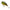 Vobler Berkley Pulse Biggie, Perch, 8cm, 30g
