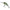 Vobler Berkley Pulse Fry Deep, Frog, 3.8cm, 4.6g