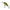 Vobler Berkley Pulse Fry Deep, Perch, 3.8cm, 4.6g