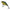 Vobler Berkley Pulse Fry Shallow, Perch, 3.8cm, 4.5g