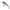 Vobler Berkley Pulse Minnow, Fegis, 4.5cm, 3.4g