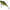 Vobler Berkley Pulse Vibe, Perch, 6cm, 18g