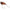 Vobler Daiwa Presso Ratllin Poppin Bug, Houjichya Lame, 2.8cm, 1.5g, 1buc/pac
