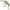 Vobler DAIWA Prorex Chibi Fuku 1 Crank Floating, Blue Perch, 4.1cm, 6.5g, 1buc/pac