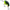 Vobler DAIWA Prorex Chibi Fuku 1 Crank Floating, Firetiger, 4.1cm, 6.5g, 1buc/pac