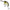 Vobler Daiwa Prorex Chibi Fuku 1 Crank Floating, Gpw, 4.1cm, 6.5g, 1buc/pac