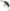 Vobler DAIWA Prorex Chibi Fuku 1 Crank Floating, Spawn Ayu, 4.1cm, 6.5g, 1buc/pac