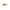 Vobler DAM Effzett Baby Boomer 2 3mm 2.5 g Red Head