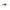 Vobler DAM Effzett Deep Scout 7 cm 21g Rainbow Trout