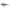 Vobler DAM Effzett Jerkstar 14cm 53 g Flashing Roach