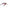 Vobler DAM Effzett Pro Lite Deep Crank 4 cm 4 g Purple Flash