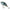 Vobler Dorado Drunk Floating K5, Culoare Rr, 10cm, 80g