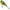 Vobler Dorado Splash Pop Floating, Culoare Pm, 6.0cm, 10.0g