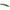Vobler DUO Pencil Popper SW Limited 11cm 18g ADA0150 Dorado HD F
