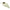 Vobler Duo Realis Crank Mid Roller, Ccc3517 Mat Bone, 4cm, 5.3g
