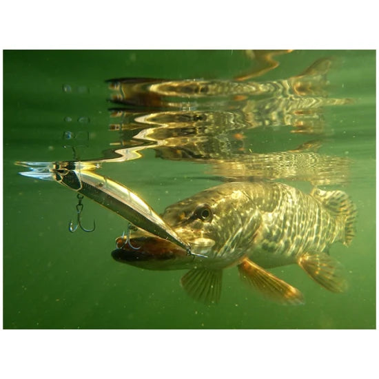 Vobler Duo Realis Jerkbait 100 Dr 10cm 15.4g Gpa4009 River Bait Sp