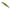 Vobler Duo Realis Jerkbait 100sp, Ccc3314 Lg Young Ayu, 10cm, 14.5g