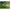 Vobler Duo Realis Jerkbait 110 Sp 11cm 16.2g Dta3345 Am Hasu
