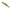 Vobler Duo Realis Jerkbait 85sp, Ccc3314 Lg Young Ayu, 8.5cm, 8g