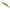 Vobler DUO Realis Jerkbait 85SP, CCC3314 LG Young Ayu, 8.5cm, 8g