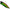 Vobler Duo Realis Popper 64, Ccc3177 Jewel Beetle F, 6.4cm, 9g