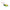 Vobler Duo Realis Popper 64, Ccc3177 Jewel Beetle F, 6.4cm, 9g