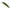 Vobler Duo Realis Rozante 63sp, Ccc3864 Perch Nd, 6.3cm, 5g